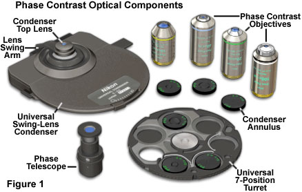 phase configuration figure1