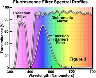 excitation emission figure3