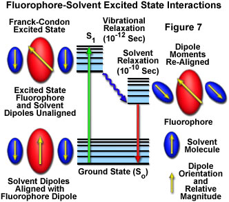 fluorescenceintro figure7