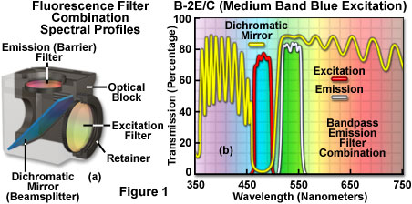 cubeintro figure1