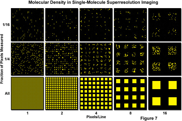 在單分子超分辨率成像的分子密度