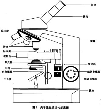 光學(xué)顯微鏡結(jié)構(gòu)圖