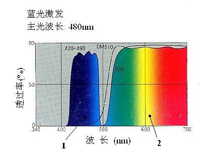 激發(fā)光的顏色