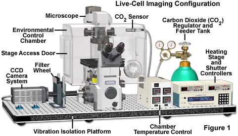 automatic microscope figure1