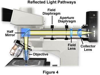 reflectpath