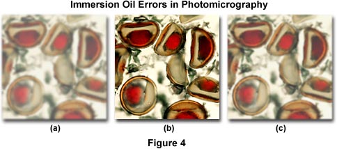 在顯微攝影浸油的錯誤