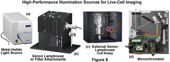 automatic microscope figure8